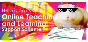 banner_teaching_and_learning_support_scheme